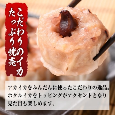 網元のこだわり!いか焼売セット 化粧箱入(8個入×3P)