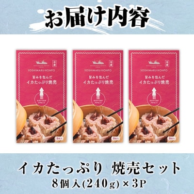 網元のこだわり!いか焼売セット 化粧箱入(8個入×3P)