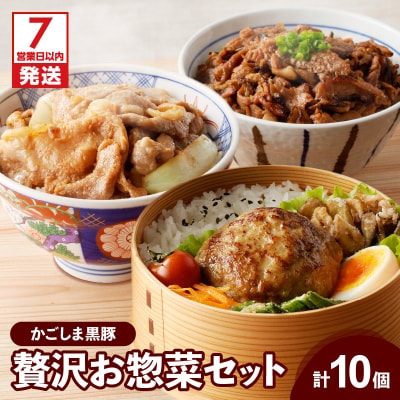 【7営業日以内に発送】【岩元精肉店】鹿児島県産 贅沢お惣菜詰合せセットA　K045-009