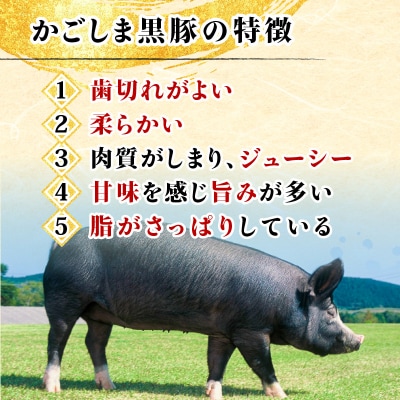 【10営業日以内に発送】かごしま黒豚 しゃぶしゃぶ鍋ダシとバラエティーセット　K091-007