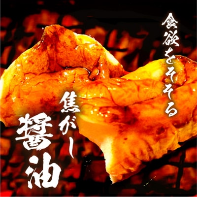 【5営業日以内に発送】ヒシク藤安醸造 極あまくち専醤　500ml×6本　K026-002_01