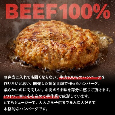【7営業日以内に発送】鹿児島肉祭りハンバーグ　K008-007