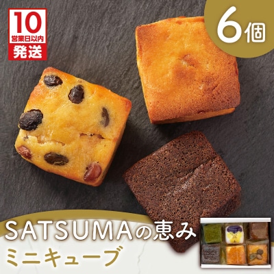 【10営業日以内に発送】SATSUMAの恵み(ミニキューブ) 6個入り　K325-001