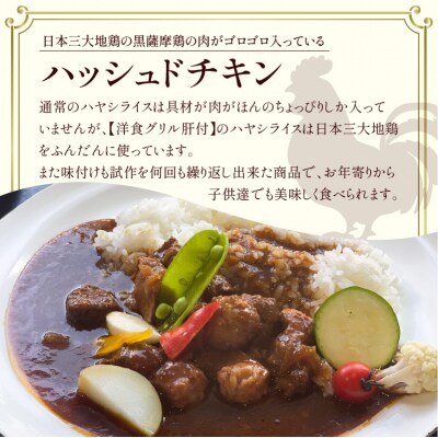 【7営業日以内に発送】ハッシュドビーフ、ハッシュドチキン詰め合わせ 計10P　K084-007_05