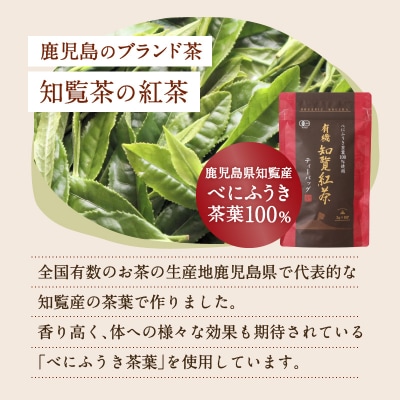 【5営業日以内に発送】有機JASオーガニック知覧紅茶80パック　K111-009