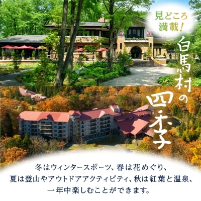 白馬村　宿泊補助券3,000円分