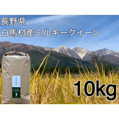 白馬産ミルキークイーン 白米 10kg