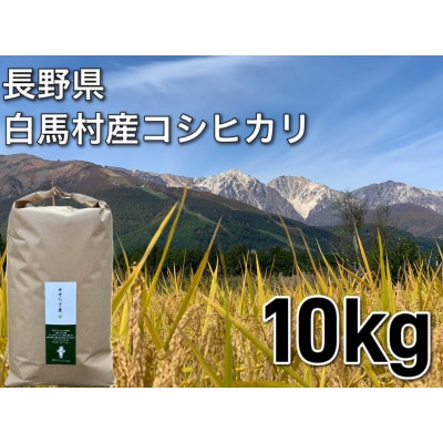 R6年産白馬産コシヒカリ白米10kg