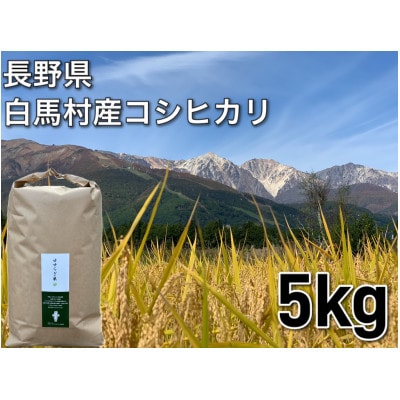 R6年産白馬産コシヒカリ 白米 5kg