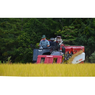 R6年産白馬産コシヒカリ 白米 5kg