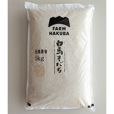 【令和7年産】『白馬そだち』長野県白馬村産　お米　ゆうだい21　5kg(精米)