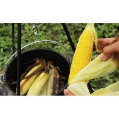 『白馬そだち』長野県白馬村産　スイートコーン　もろこし　2.5～3kg(6～10本)