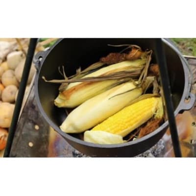 『白馬そだち』長野県白馬村産　スイートコーン　もろこし　2.5～3kg(6～10本)