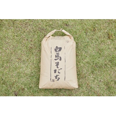 【令和6年産】『白馬そだち』長野県白馬村産　お米　ゆうだい21　30kg(玄米)