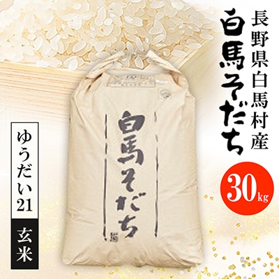 【令和7年産】『白馬そだち』長野県白馬村産　お米　ゆうだい21　30kg(玄米)