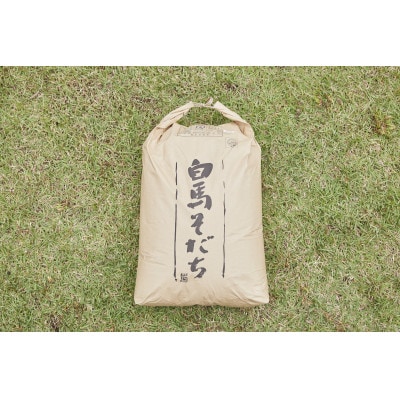 【令和7年産】『白馬そだち』長野県白馬村産　お米　ミルキークイーン　30kg(玄米)