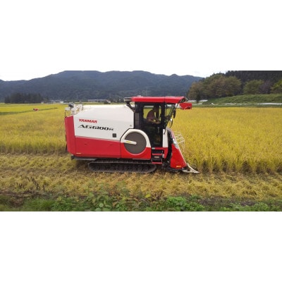 【令和7年産】『白馬そだち』長野県白馬村産　お米　ミルキークイーン　30kg(玄米)