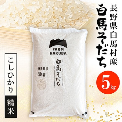 【毎月定期便】『白馬そだち』長野県白馬村産　お米　こしひかり5kg(精米)全2回