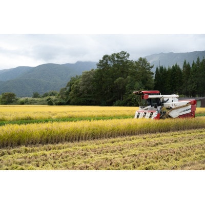 【毎月定期便】『白馬そだち』長野県白馬村産　お米　こしひかり5kg(精米)全2回