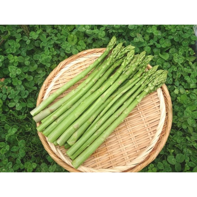 アスパラガス　500g