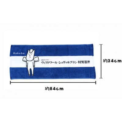 ヴィクトワール・シュヴァルブラン・村男III世Tシャツ&タオル(Tシャツ:ネイビー・L、タオル:青)
