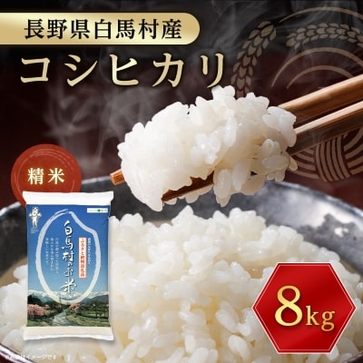 【令和6年産】白馬産コシヒカリ8kg