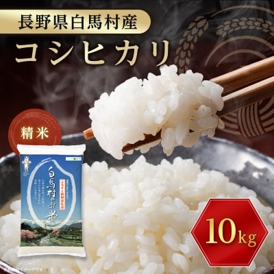【令和6年産】白馬産コシヒカリ10kg