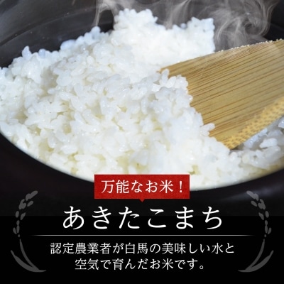 【令和6年産】白馬産あきたこまち8kg