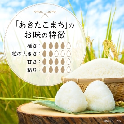 【令和6年産】白馬産あきたこまち8kg