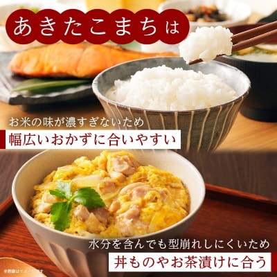 【令和6年産】白馬産あきたこまち10kg