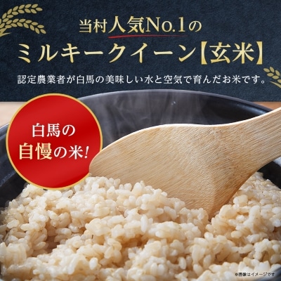 【令和6年産 】白馬産ミルキークイーン【玄米】8kg