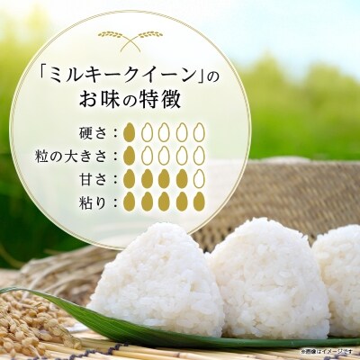 【令和6年産 】白馬産ミルキークイーン【玄米】8kg