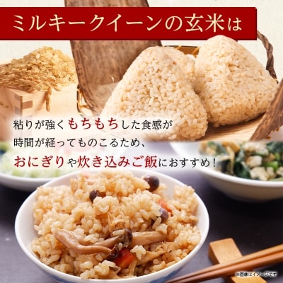 【令和6年産 】白馬産ミルキークイーン【玄米】8kg