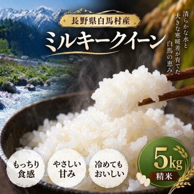 【令和8年産】 長野県白馬村産ミルキークイーン 5kg
