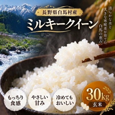 【令和8年産】白馬産ミルキークイーン【玄米】30kg