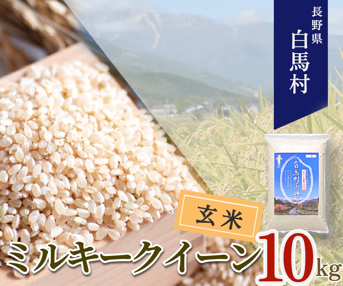 【令和7年産】 長野県白馬村産ミルキークイーン【玄米】 10kg