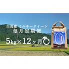 【毎月定期便】令和6年産 白馬産ミルキークイーン精米5kg全12回