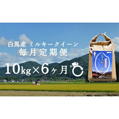 【毎月定期便】長野県白馬村産ミルキークイーン精米10kg全6回