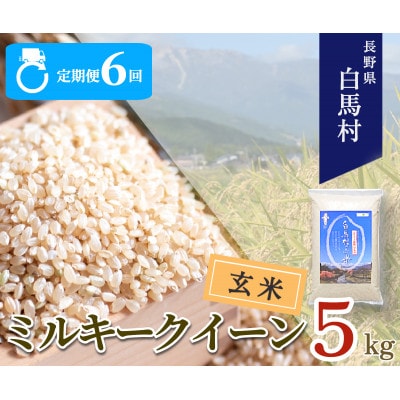 【発送月固定定期便】【令和6年産先行予約】白馬産ミルキークイーン【玄米】5kg全6回