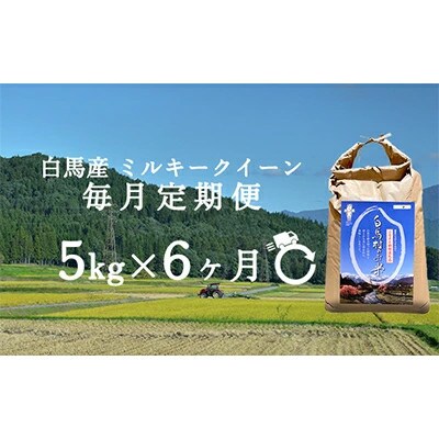 【発送月固定定期便】【令和6年産先行予約】白馬産ミルキークイーン精米5kg全6回