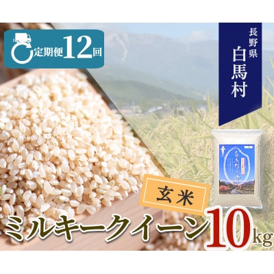 【毎月定期便】長野県白馬村産ミルキークイーン【玄米】10kg全12回
