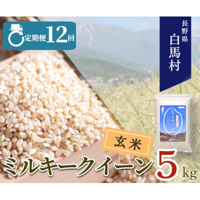【毎月定期便】長野県白馬村産ミルキークイーン【玄米】5kg全12回