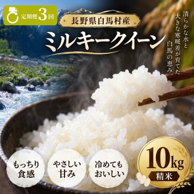 【毎月定期便】長野県白馬村産ミルキークイーン 精米 10kg全3回