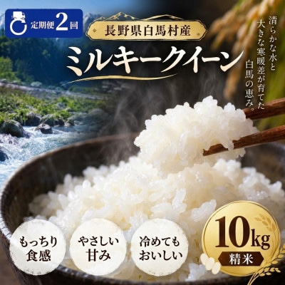 【毎月定期便】長野県白馬村産ミルキークイーン 精米 10kg全2回