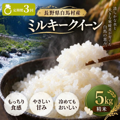 【毎月定期便】長野県白馬村産ミルキークイーン 精米 5kg全3回