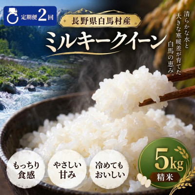 【毎月定期便】長野県白馬村産ミルキークイーン 精米 5kg全2回