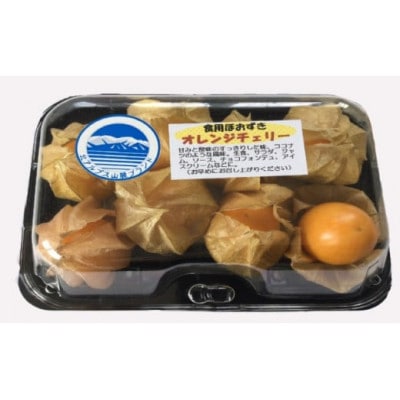 白馬フィサリス(食用ホオズキ) 600g