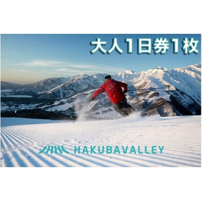 HAKUBA VALLEY 10 スキー場共通リフト券【大人1日券1枚】