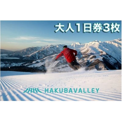 HAKUBA VALLEY 10 スキー場共通リフト券【大人1日券3枚】