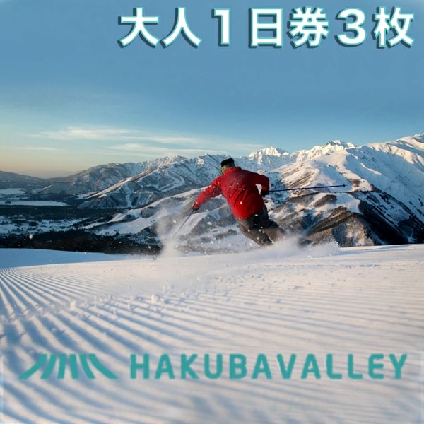2025-2026 HAKUBA VALLEY 10 スキー場共通リフト券【大人1日券3枚】